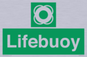 lifebuoy-with-symbol~